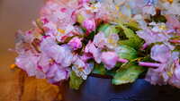 https://images.plurk.com/36OMQXuw1STwkfpayyUP98.jpg