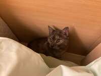 https://images.plurk.com/36T9Z0a4m31VXnUXVgZQg0.jpg