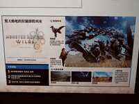 https://images.plurk.com/36UBUVzoNQ5MHAo6hLMnas.jpg