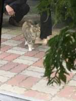 https://images.plurk.com/36Y9qEQEP8OU2gkn9NiyP0.jpg