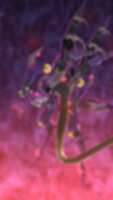 https://images.plurk.com/36eINrF2eu5QcyuMoRXDBN.png