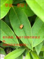 https://images.plurk.com/36hsgxZQdkfeXoyohxXJ2x.jpg