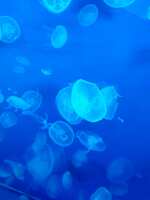 https://images.plurk.com/36qx8SfaZ26mqu3lDx7OzJ.jpg