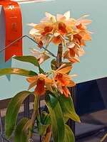 https://images.plurk.com/36sNa6WSGet5N5KIUE94hX.jpg