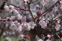https://images.plurk.com/36uYwIGhm7JTFBf6lBH9eJ.jpg