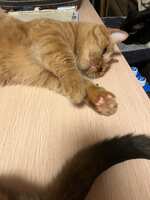 https://images.plurk.com/36vsmW1nc85UAkAn1Mw6hr.jpg