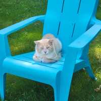 https://images.plurk.com/36zEh4gumK7MdCAGiaZ9Pd.jpg