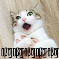 https://images.plurk.com/372nKEB1LJLtH2ly8IkVxw.png