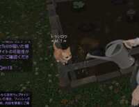 https://images.plurk.com/375QNH5RXwT2OkDwWV6TJG.png
