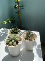 https://images.plurk.com/37JPmlERPCY31BuxRYEvSR.jpg