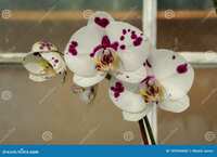 https://images.plurk.com/37QB3YVXC1b5KncTX4SuJE.png
