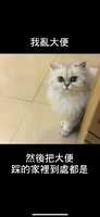 https://images.plurk.com/37RIIG4x3QpGeFmTEj2yRM.png