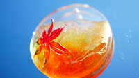 https://images.plurk.com/37VKzD8FYEenNkpJQjGruq.jpg