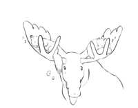 https://images.plurk.com/37X13W75LR9sOO7f61CUEn.png