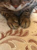 https://images.plurk.com/37Y5FnbT21K6HTGbXg6bgV.jpg