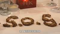 https://images.plurk.com/37YnrWn3cCHCwQdpL55dmf.jpg