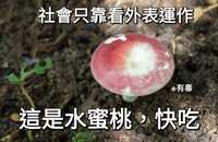 https://images.plurk.com/37cGZSADL8aqaQIIC1dcU6.jpg