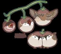 https://images.plurk.com/37dGkFWzXzvEz9U6PpI0Qy.png