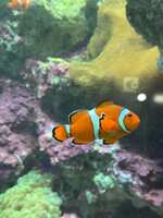 https://images.plurk.com/37fBAwl9NSbHOzcw4V5cvI.jpg