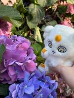 https://images.plurk.com/37znBF6hy7SpQMjI4OvepZ.jpg