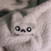 https://images.plurk.com/3888Yi4Rff46N8yMnD5gju.png