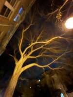 https://images.plurk.com/38BODadq6RMPvX3K4CAn5C.jpg