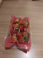 https://images.plurk.com/38E9ZBq6ZsPxpS7KKqolFi.jpg