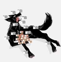 https://images.plurk.com/38G6kmIMfU6tyrwQ9i5EEp.png