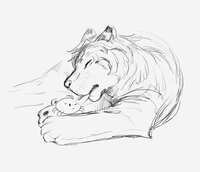 https://images.plurk.com/38LrfcyKpW0liRUhGgohdv.jpg
