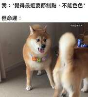 https://images.plurk.com/38PqMVC0RWAAbRldiZCLuM.jpg