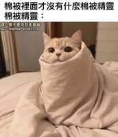 https://images.plurk.com/38Wy9sSUYtqOpAbWT9ItHU.jpg