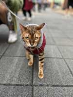 https://images.plurk.com/38bfW5RS1n570etbqZGhJG.jpg