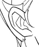 https://images.plurk.com/38dZIDN2lbhs6wxvNsQreK.jpg