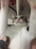 https://images.plurk.com/38e1AjplUKltlVTCaso7Wn.jpg