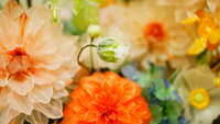 https://images.plurk.com/38iXKgnIfqEpOlkEqSwX84.jpg