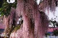 https://images.plurk.com/38lYBcClVcJqYhDz6qAVxl.jpg