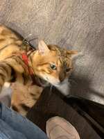 https://images.plurk.com/38upcsHxT6hEj39OdsQ8fP.jpg