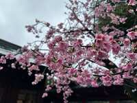 https://images.plurk.com/3932MZwpbW27wrI5HxK62s.jpg