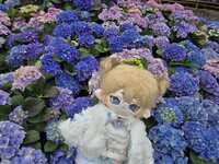 https://images.plurk.com/393MzVfcKZiLKfRzsoa7I6.jpg