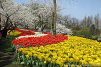 https://images.plurk.com/397IQBjqWj3KblUSps04DX.jpg