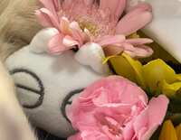https://images.plurk.com/39B4ASQcQgsu7I4roJbrvE.jpg