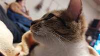 https://images.plurk.com/39PkEE7CzCaFG65NZ54rOs.jpg