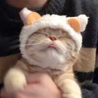 https://images.plurk.com/39ZD5xaal3syJmCNKq9MBb.jpg