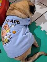 https://images.plurk.com/39aDiozlpqxBgRwgklT013.jpg