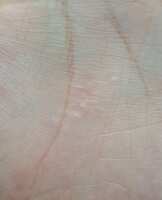 https://images.plurk.com/39aok441MCupBVcwNfGGOV.jpg