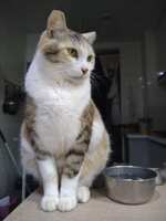 https://images.plurk.com/39bJXuuaAH73uKA6taGrgO.jpg