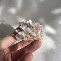 https://images.plurk.com/39ejnJvQdzqe8YGQ2Xa7jT.jpg