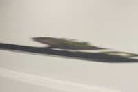 https://images.plurk.com/39gQW1RavUW7hCwNxVdf07.jpg