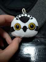 https://images.plurk.com/39hMr4dj6UVBQ3ECAA7R5J.jpg