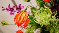 https://images.plurk.com/39xNZMQb6mUefvNo8GhQBB.jpg